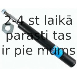 Amortizators SACHS 115 007