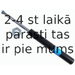 Amortizators SACHS 115 009