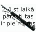 Amortizators SACHS 115 069