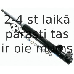 Amortizators SACHS 115 069