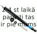 Amortizators SACHS 124 391