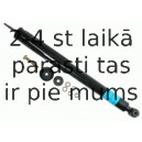 Amortizators SACHS 125 348