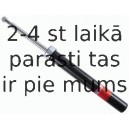 Amortizators SACHS 170 426