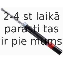 Amortizators SACHS 170 426