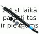 Amortizators SACHS 170 450