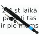 Amortizators SACHS 170 451