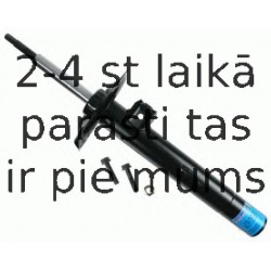 Amortizators SACHS 170 821