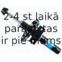 Amortizators SACHS 200 419