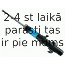 Amortizators SACHS 200 884