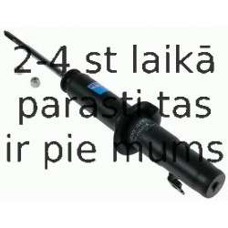 Amortizators SACHS 230 017