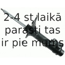 Amortizators SACHS 230 169