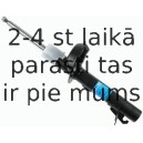 Amortizators SACHS 230 710