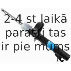 Amortizators SACHS 230 710