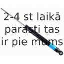 Amortizators SACHS 230 713