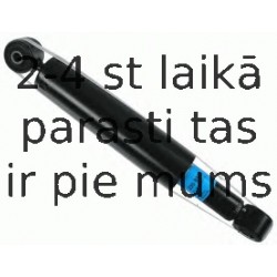 Amortizators SACHS 230 857