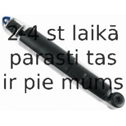 Amortizators SACHS 290 005