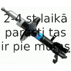 Amortizators SACHS 290 075