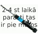 Amortizators SACHS 290 238