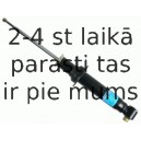 Amortizators SACHS 290 275