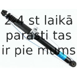 Amortizators SACHS 290 691