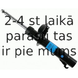 Amortizators SACHS 290 838