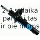 Amortizators SACHS 290 840