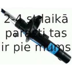 Amortizators SACHS 290 840