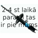 Amortizators SACHS 290 959