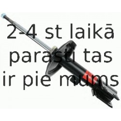 Amortizators SACHS 290 962