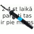 Amortizators SACHS 290 985