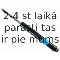 Amortizators SACHS 310 015