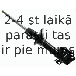 Amortizators SACHS 310 023