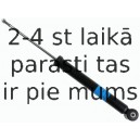 Amortizators SACHS 310 027