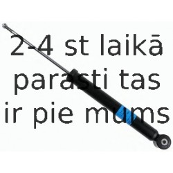 Amortizators SACHS 310 027