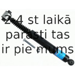 Amortizators SACHS 310 058