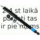 Amortizators SACHS 310 618