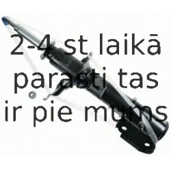 Amortizators SACHS 310 685