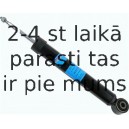 Amortizators SACHS 311 009