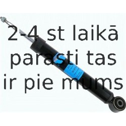 Amortizators SACHS 311 009