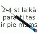 Amortizators SACHS 311 242