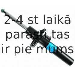 Amortizators SACHS 311 344