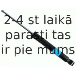 Amortizators SACHS 311 346