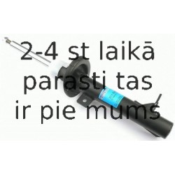 Amortizators SACHS 311 701