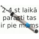 Amortizators SACHS 311 774