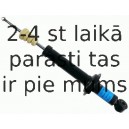 Amortizators SACHS 311 776