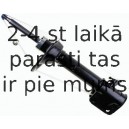 Amortizators SACHS 311 817