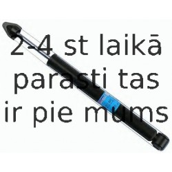 Amortizators SACHS 311 897