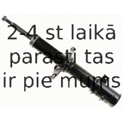 Amortizators SACHS 311 916