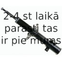 Amortizators SACHS 311 917