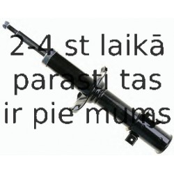 Amortizators SACHS 311 917